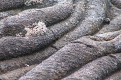 hraunreipi-her-ubrei-arlindum